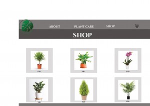 web 2- Shop.jpg