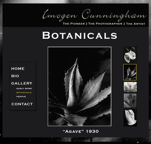 project_3_gallery_botanicals_1.jpg