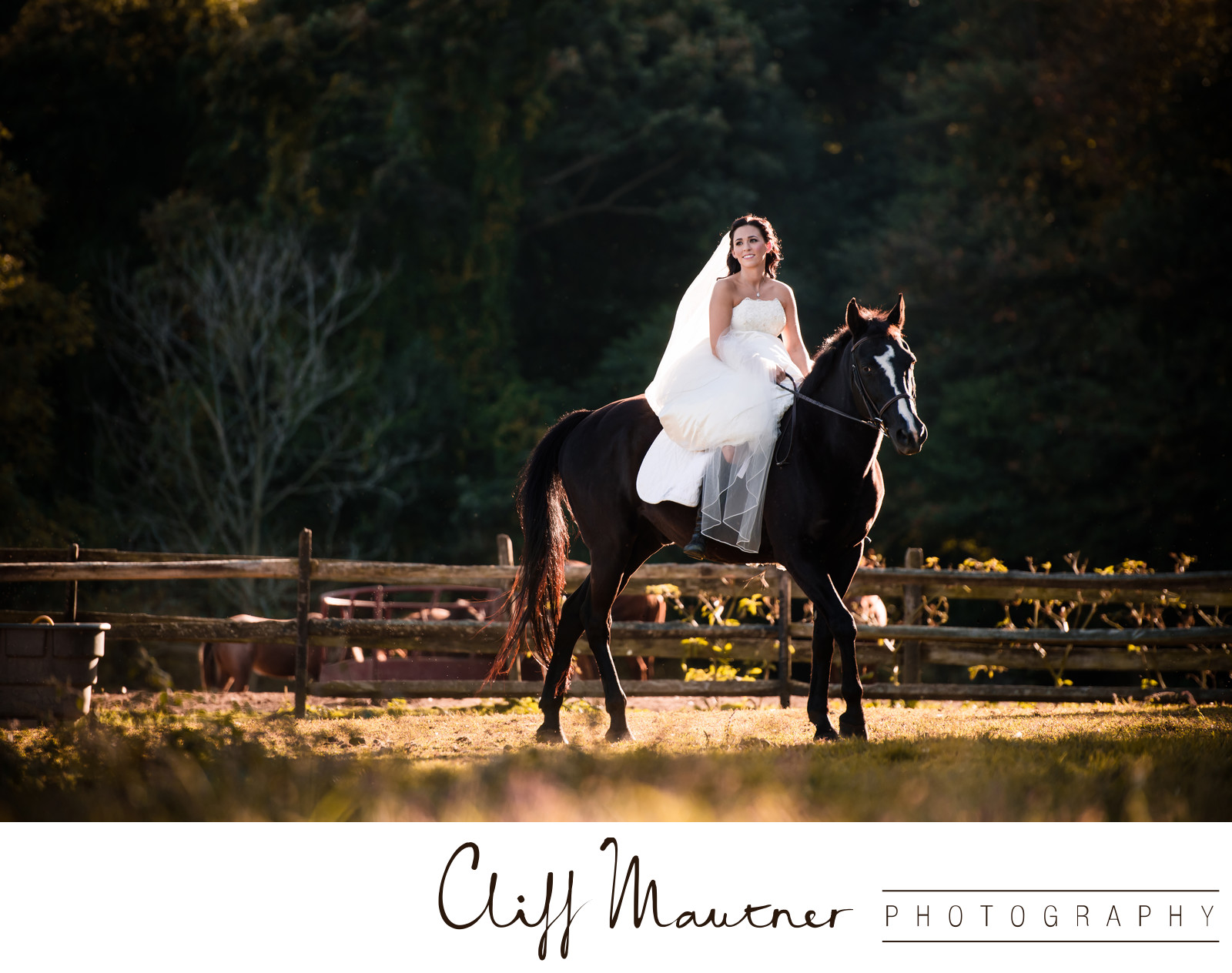 beautiful bride riding a horse photo