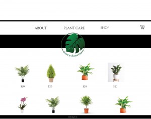 web1-shop.jpg