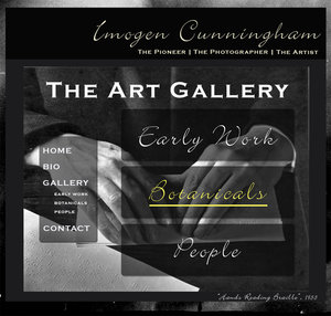 project_3_gallery_1.jpg