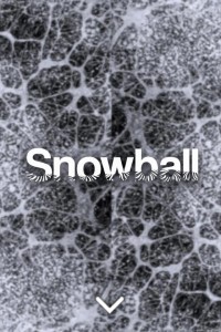 rough_01_01_mobile.jpg