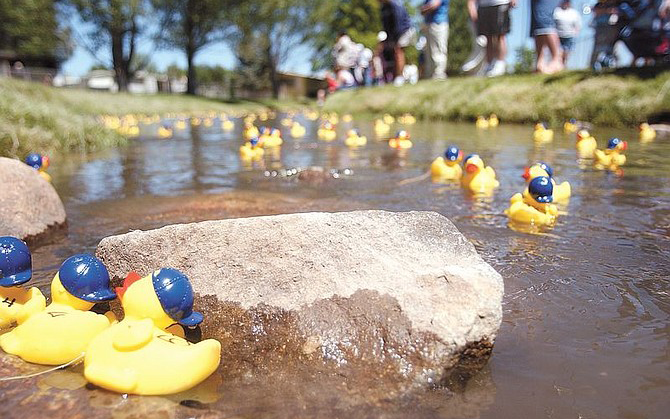 rubber ducks in a small river