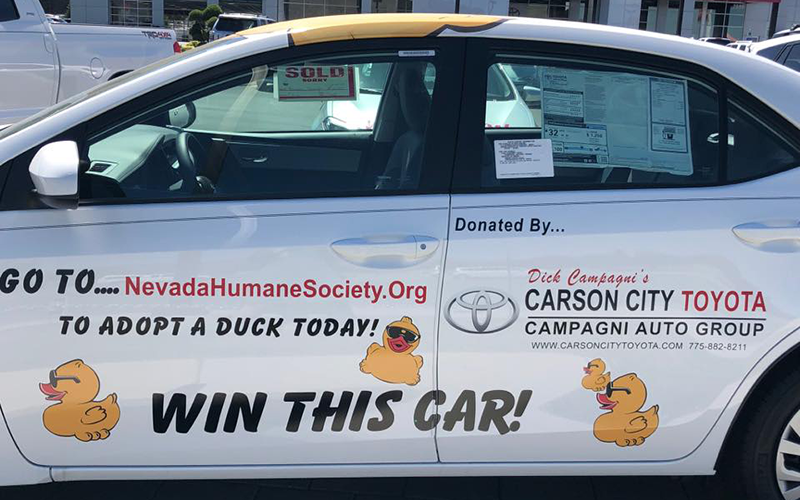 side of a car with information about adopting a duck