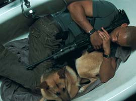 i am legend