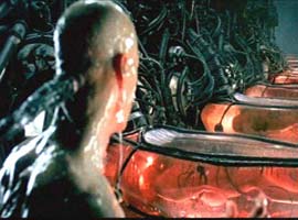 the matrix