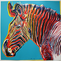 Zebra