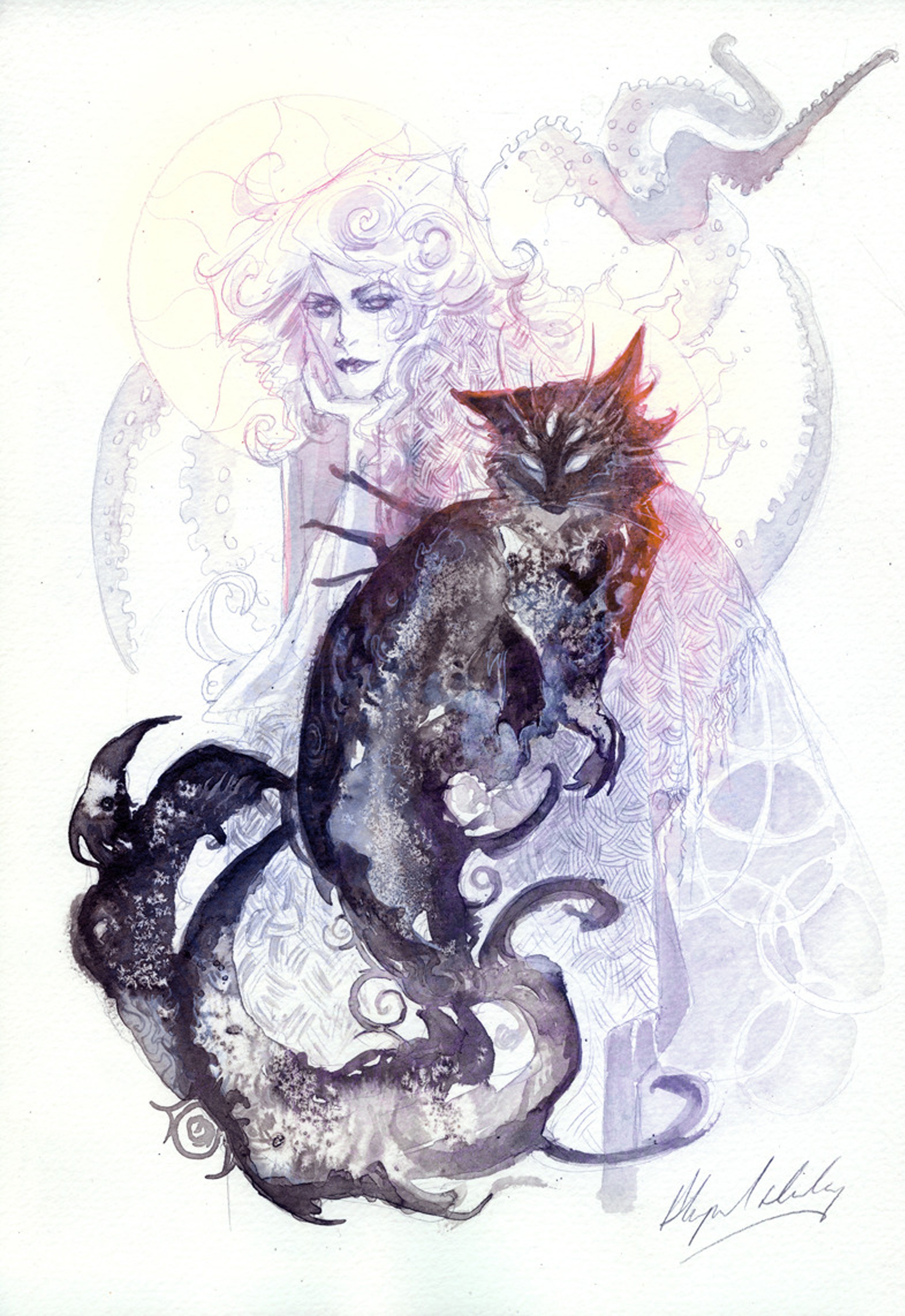 image of cat with lady